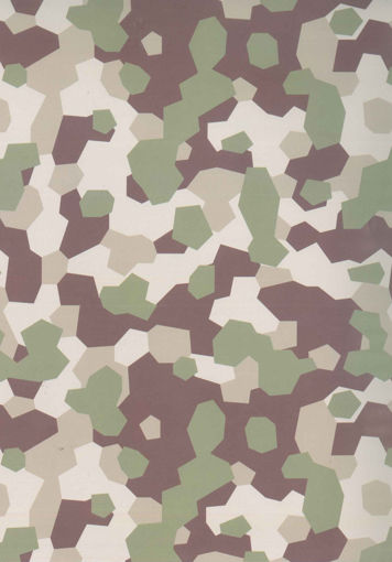Picture of GIFT WRAPPING CAMOUFLAGE